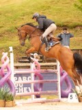 DSC02724 DSC02724