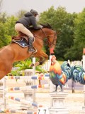 DSC02728 DSC02728