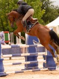 DSC02734 DSC02734