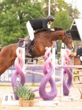 DSC06352 DSC06352