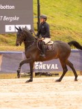 DSC02743 DSC02743