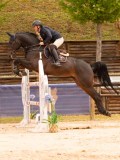 DSC02745 DSC02745