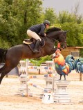 DSC02748 DSC02748