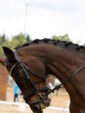 IMG_7894