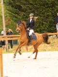DSC00356 DSC00356