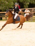 DSC00374 DSC00374