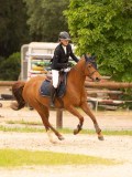 DSC00377 DSC00377
