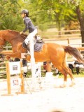DSC08727