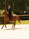 DSC02976 DSC02976