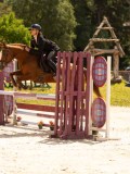 DSC02977 DSC02977