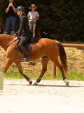 DSC02998 DSC02998