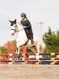 DSC03825 DSC03825