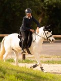 DSC03829 DSC03829