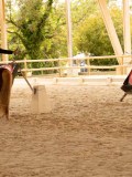 DSC00284 DSC00284