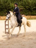 DSC04121 DSC04121