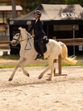 DSC04124 DSC04124