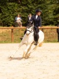 DSC04134 DSC04134