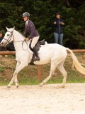 DSC06354 DSC06354