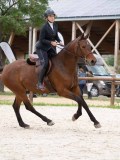 AP102036