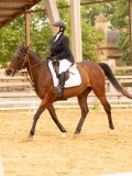 DSC07258 DSC07258