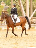 DSC07300 DSC07300