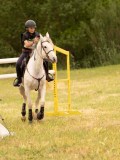 DSC01379 DSC01379