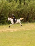 DSC01385 DSC01385