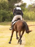 DSC02653