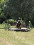 IMG_3949 IMG_3949