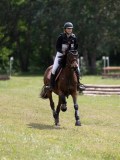 IMG_3950 IMG_3950