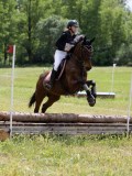 IMG_3952 IMG_3952