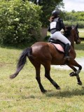 IMG_3953 IMG_3953