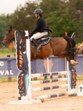 DSC00244 DSC00244