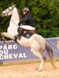 DSC03449 DSC03449