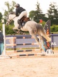 DSC03459 DSC03459