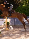DSC03934 DSC03934