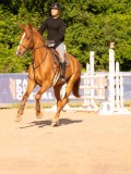 DSC03935 DSC03935