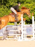 DSC03939 DSC03939