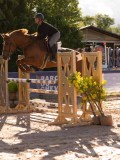 DSC03946 DSC03946