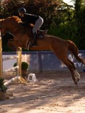 DSC03947 DSC03947