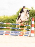 DSC05788 DSC05788
