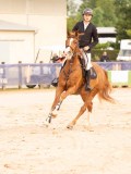 DSC05191 DSC05191
