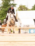 DSC08275 DSC08275