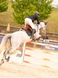 DSC08278 DSC08278