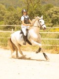DSC03616