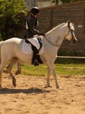 DSC03204