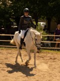 DSC03205