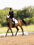 DSC02443 DSC02443