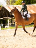 DSC04277 DSC04277