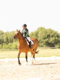 DSC04279 DSC04279